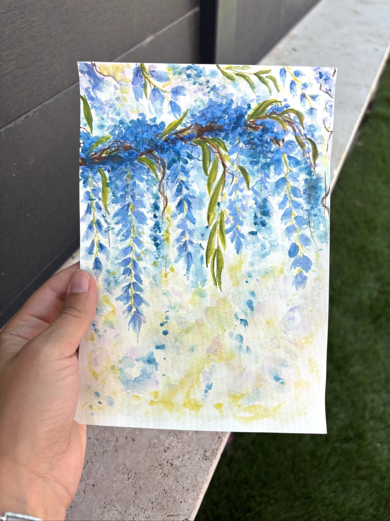 Dessin aquarelle peinture glycine 